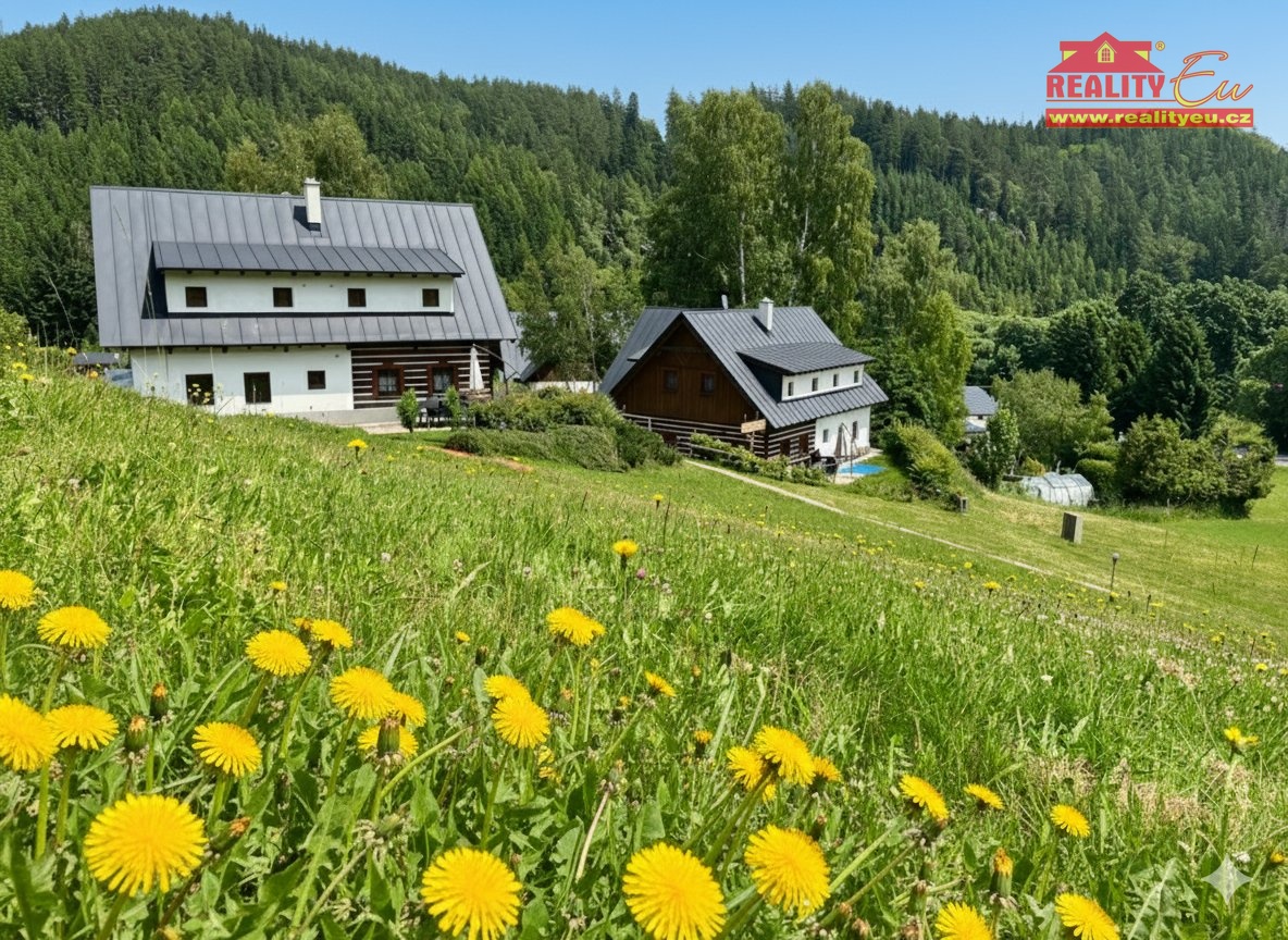 Investiční příležitost v srdci Krkonoš – rodinný dům se 3 apartmány přímo u areálu Bret CZ