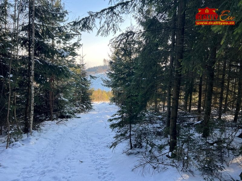 Prodej lesa v Horní Radechové - Slavíkov